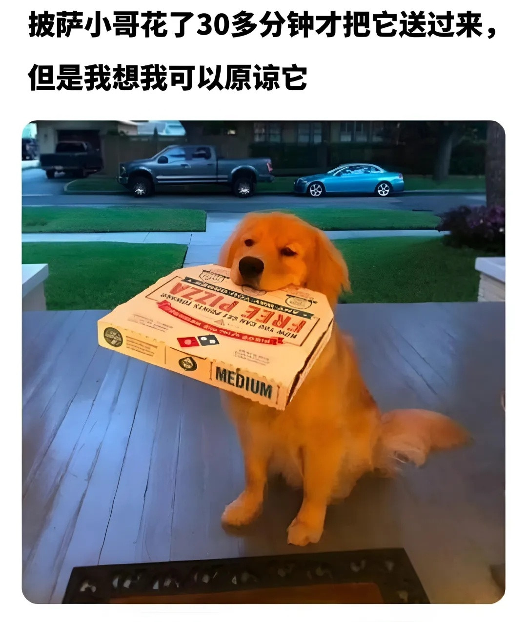 披萨小哥：感谢您的理解meme/