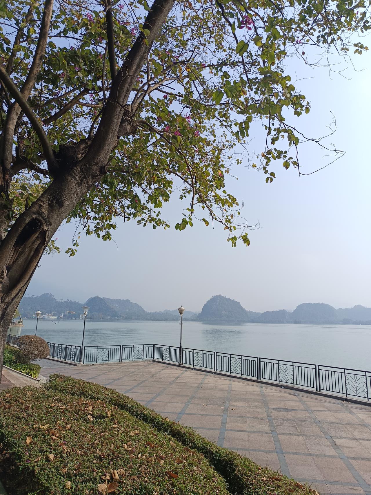 有一件事我不知道怎么说才好在肇庆，我发现一个很严重的问题！你敢相信吗