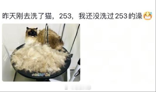 当代年轻人的新型富养观[捂脸哭]​​​