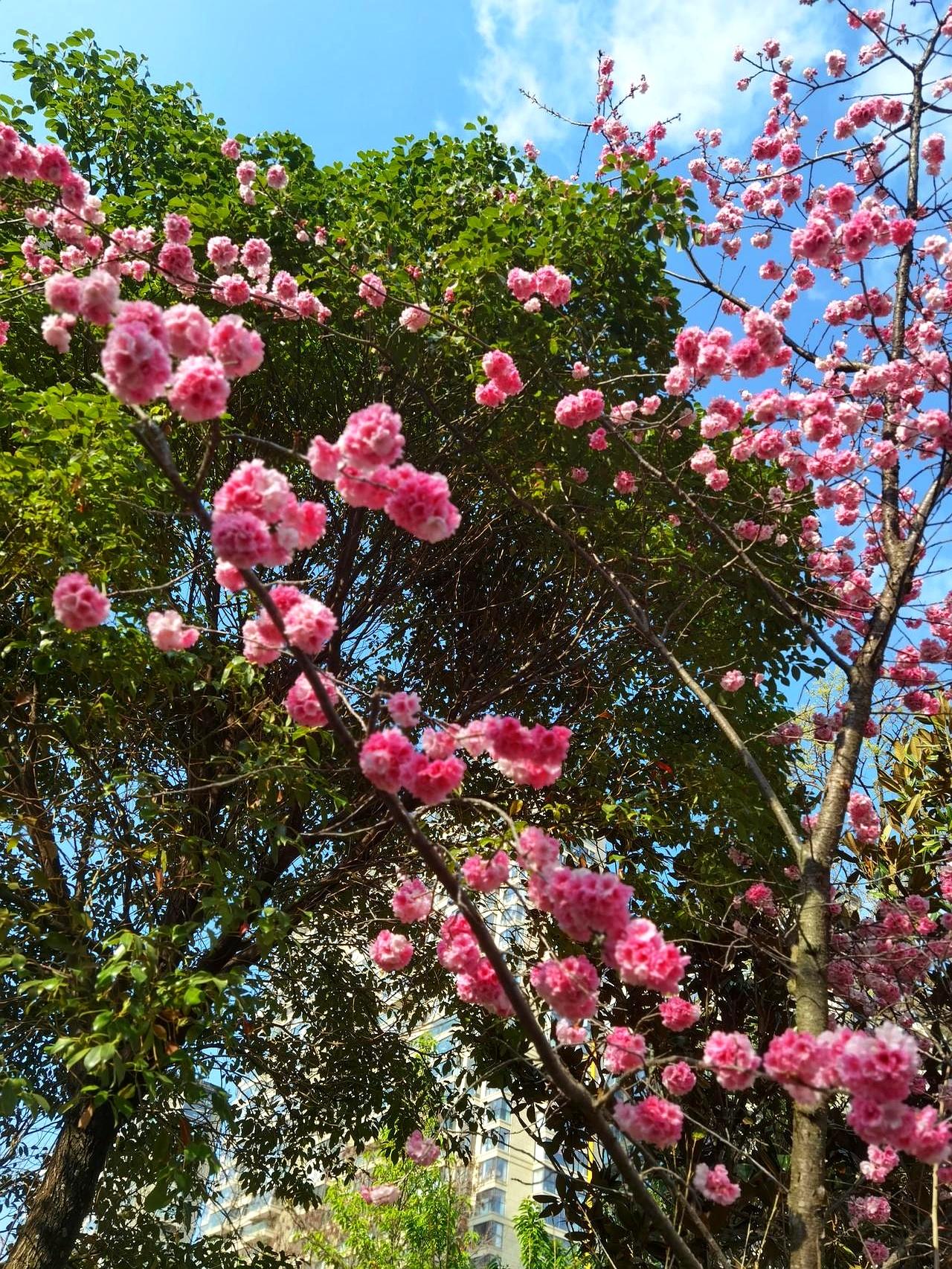 今天读到一句话，像当头一棒：别把孩子当项目去改命。如今家长焦虑成风，邻里一炫娃