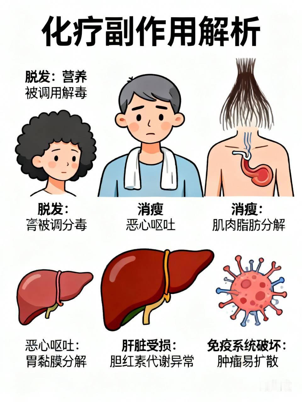 为什么做了化疗的人会脱头发?因为原本提供给头发的营养，被调用去解化疗药物的毒了。