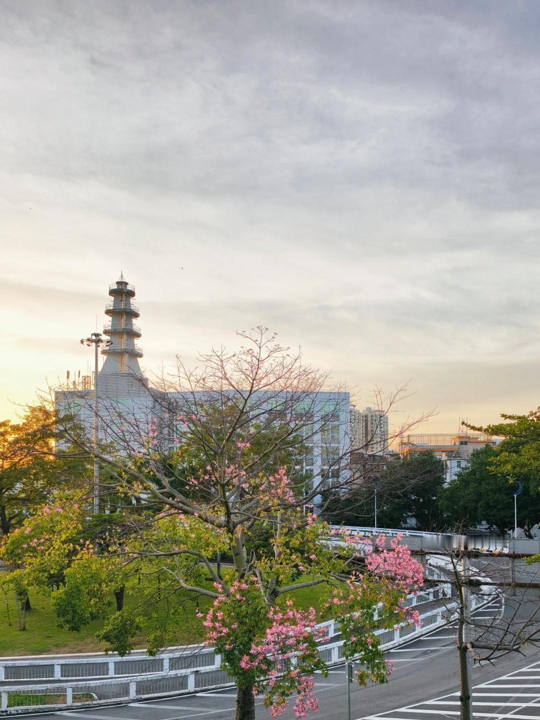 我老公的一个发小，年轻时长的高大帅气，追他的小姑娘一大堆，后来和一个父母都是国家