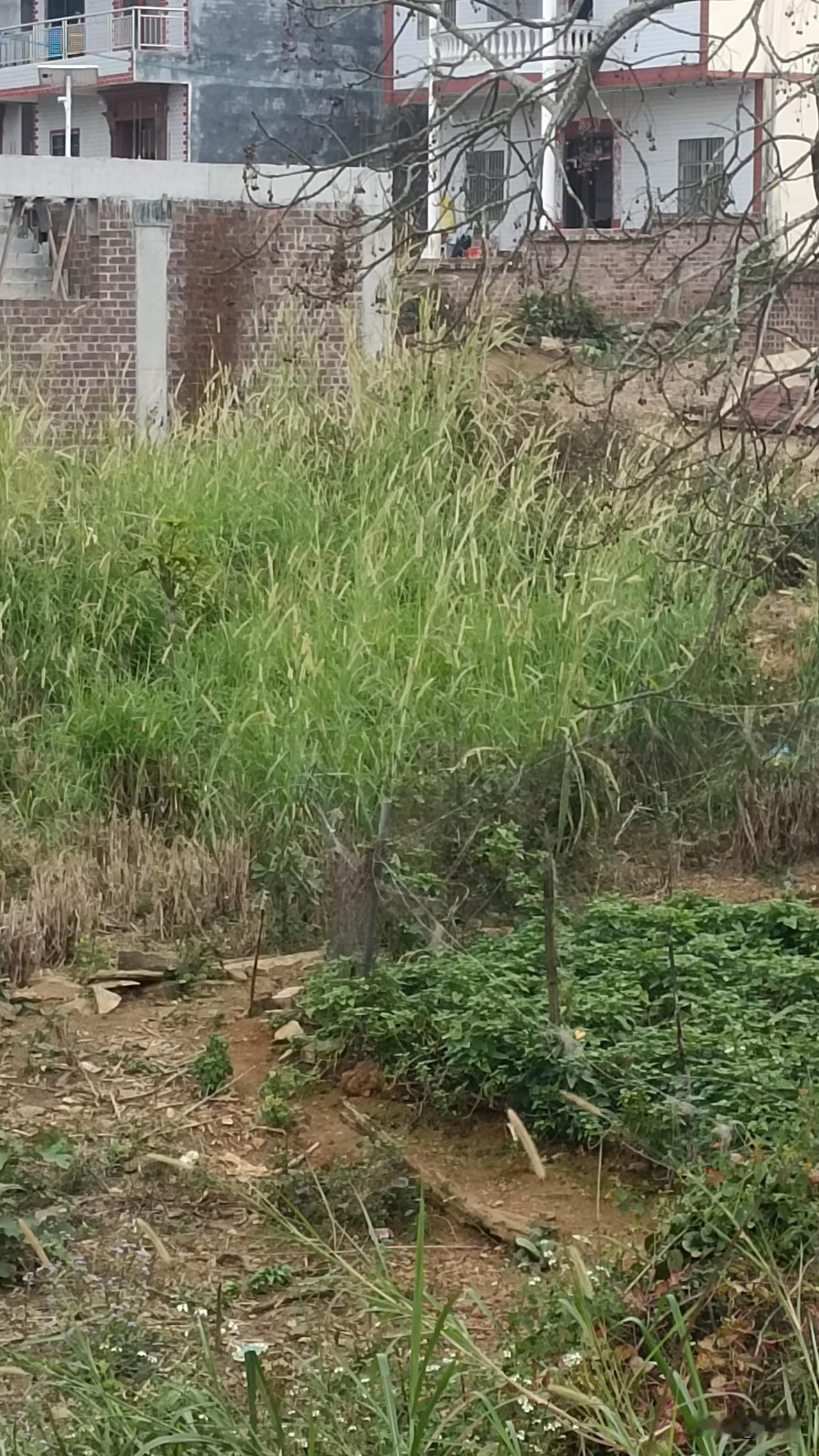 91年的羊，如今都三十出头啦。我身边有好几个91年属羊的朋友，他们大多性格温和，