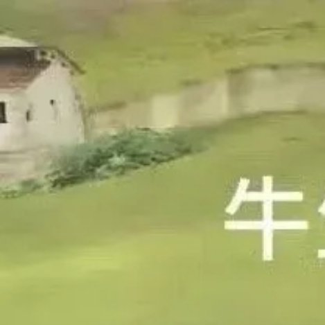 0000种植石榴的方法：1.选择适合的品种：石榴有许多不同的品种，如红石榴、白石