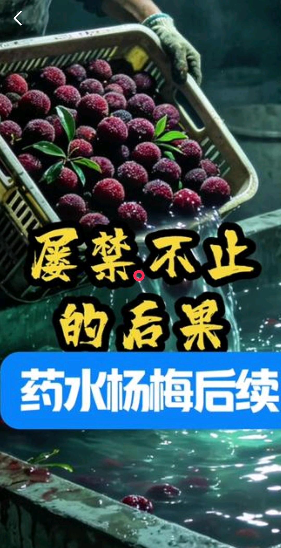 同一批杨梅，新鲜合格的飞往欧洲，泡药的发往全国，请问一下，这是为什么呢？​