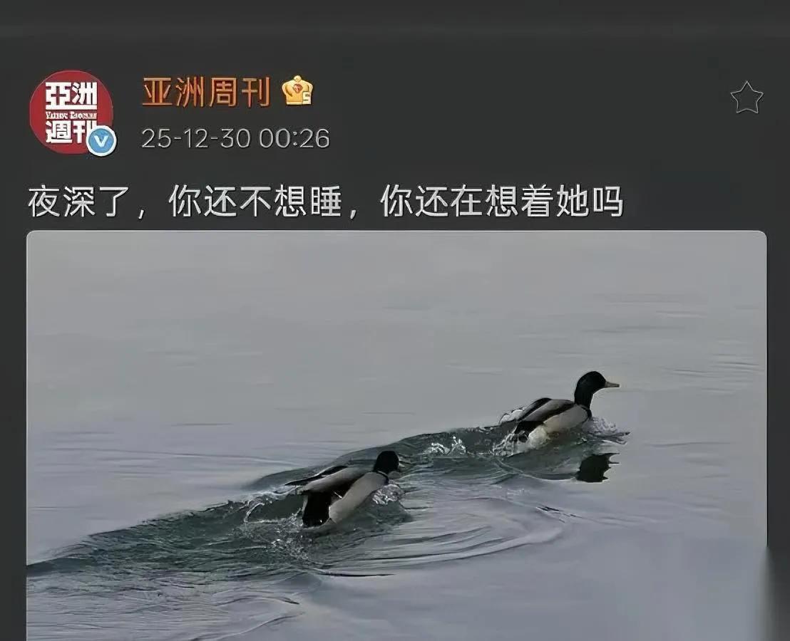 深夜古画配图？南博馆藏现拍场8800万变6800元？亚洲周刊深夜晒出的鸳