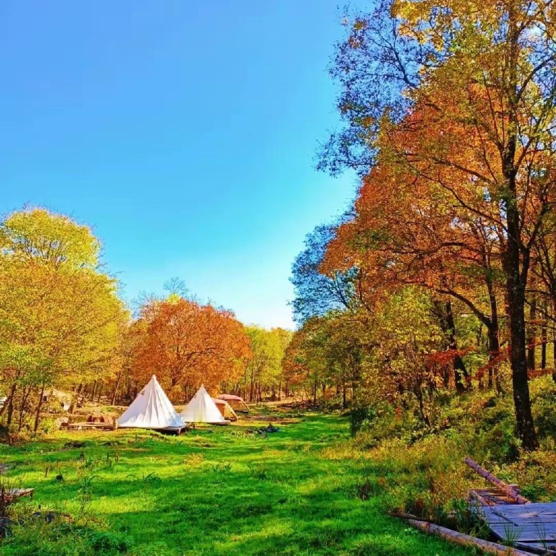 普通人的收入等级表，一起来看看你处于阶段？这张表把月收入分成11档，每一档都