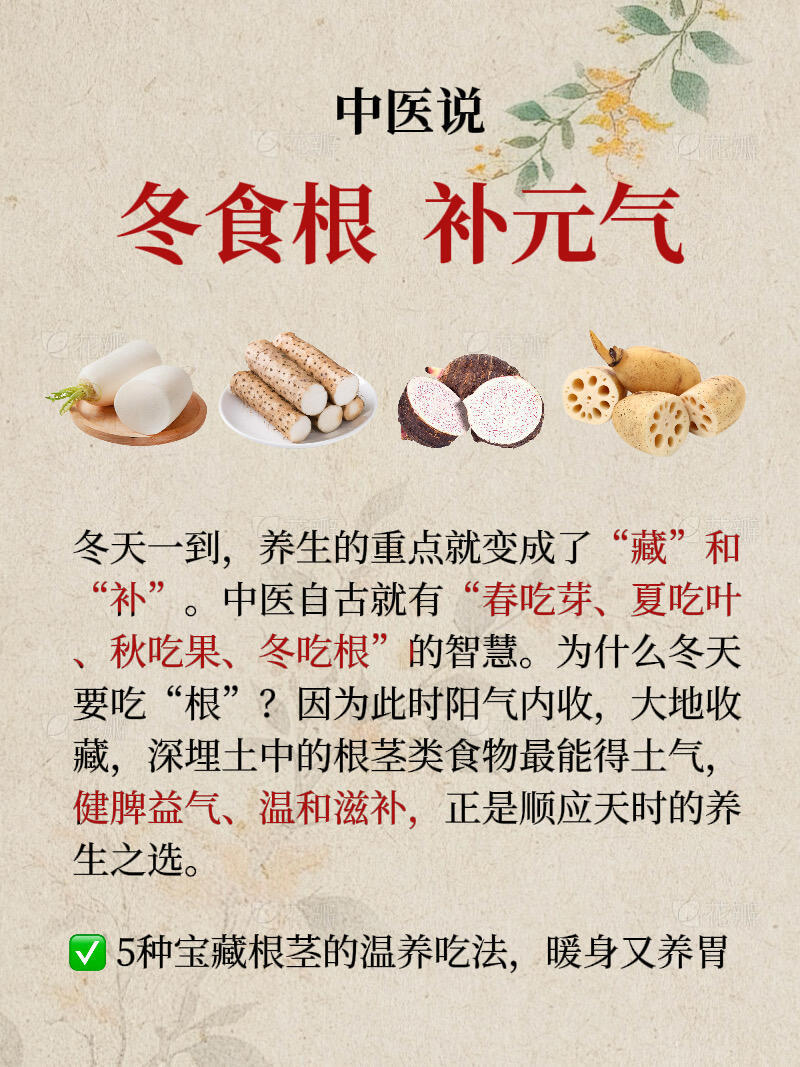 冬吃根，补元气！国医的精诚力量