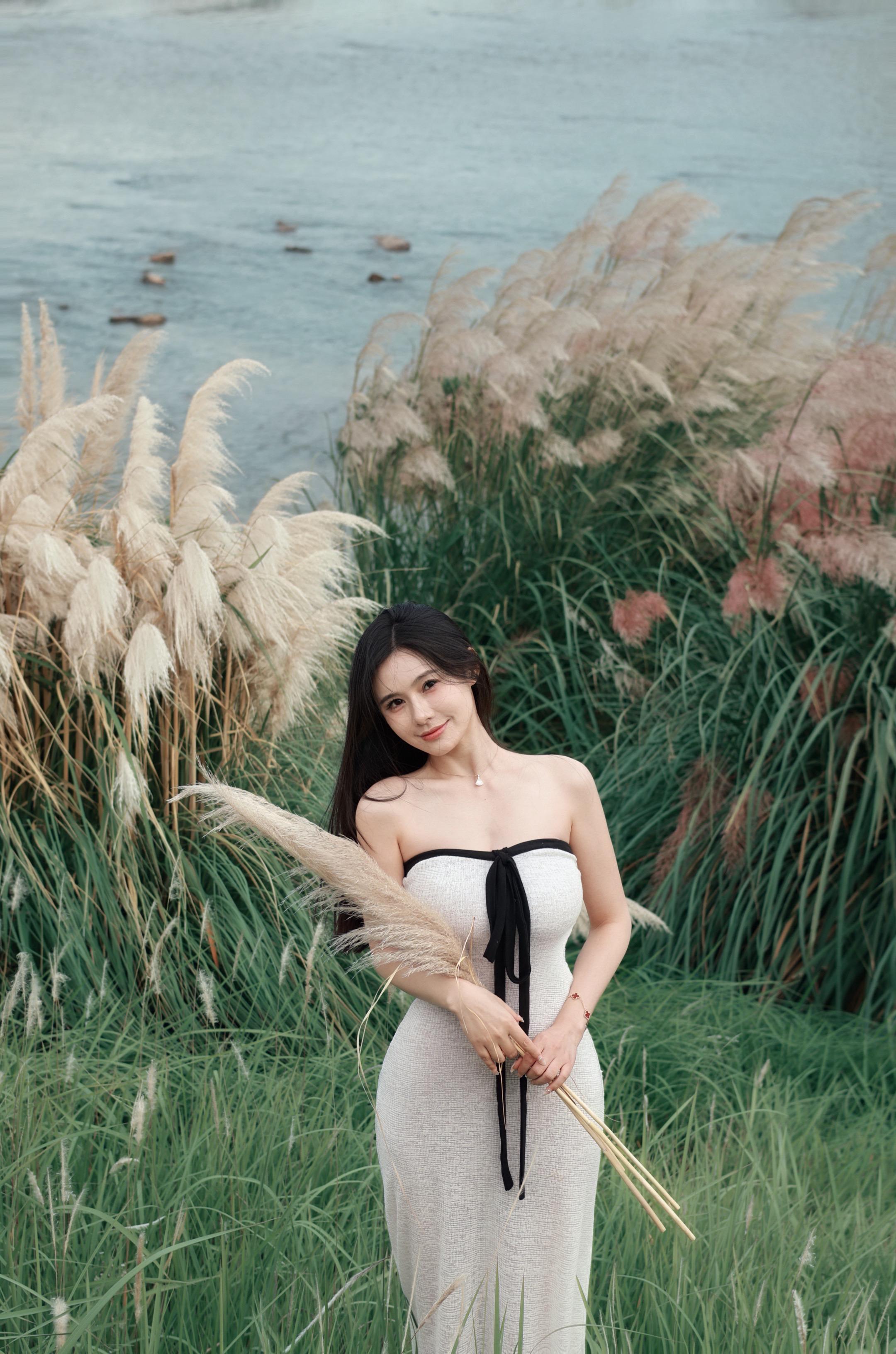 正是芦苇荡季。