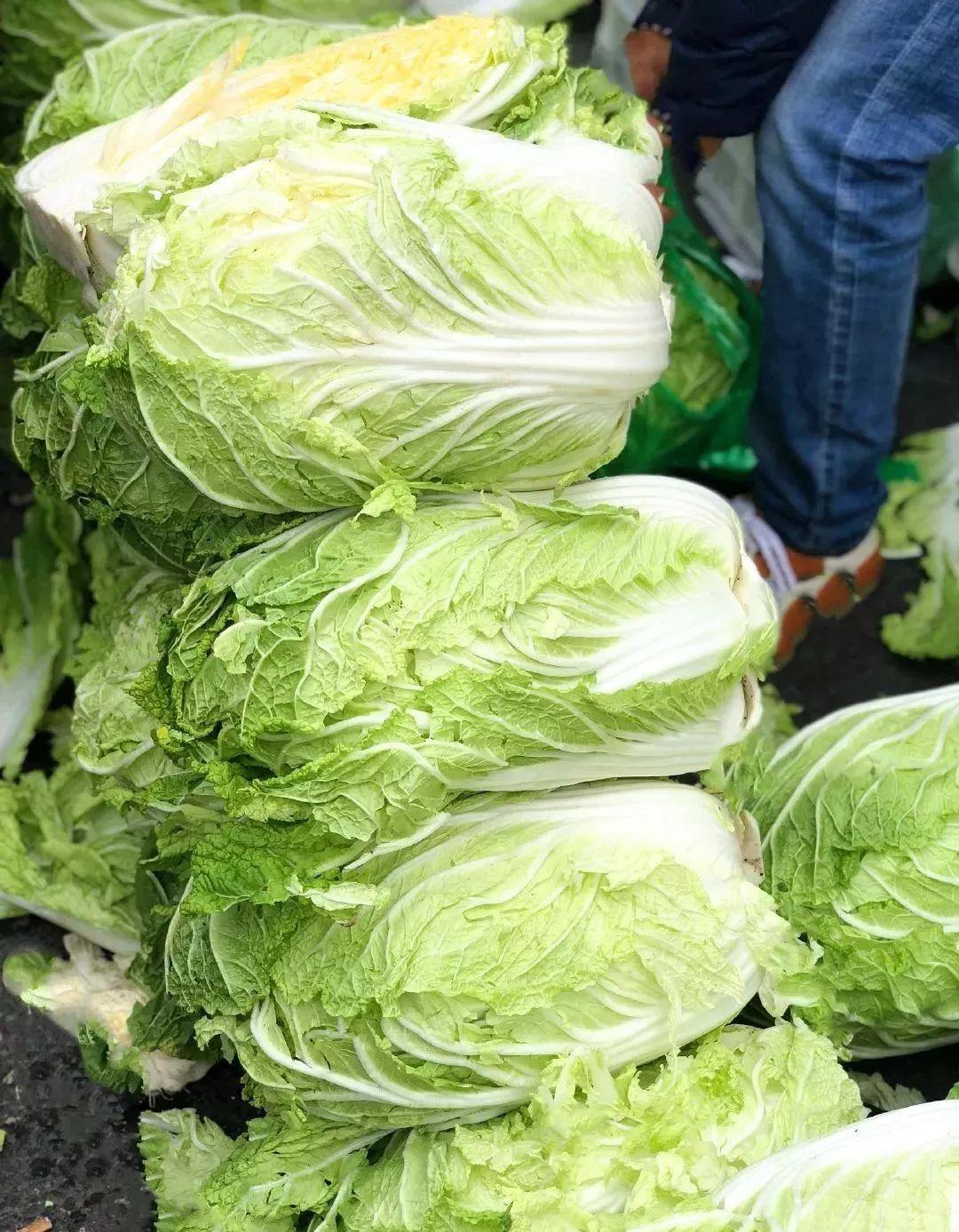 韩国“白菜断供”式制裁?中国菜农:我们的白菜还没出省呢!谁能想到,国际博弈