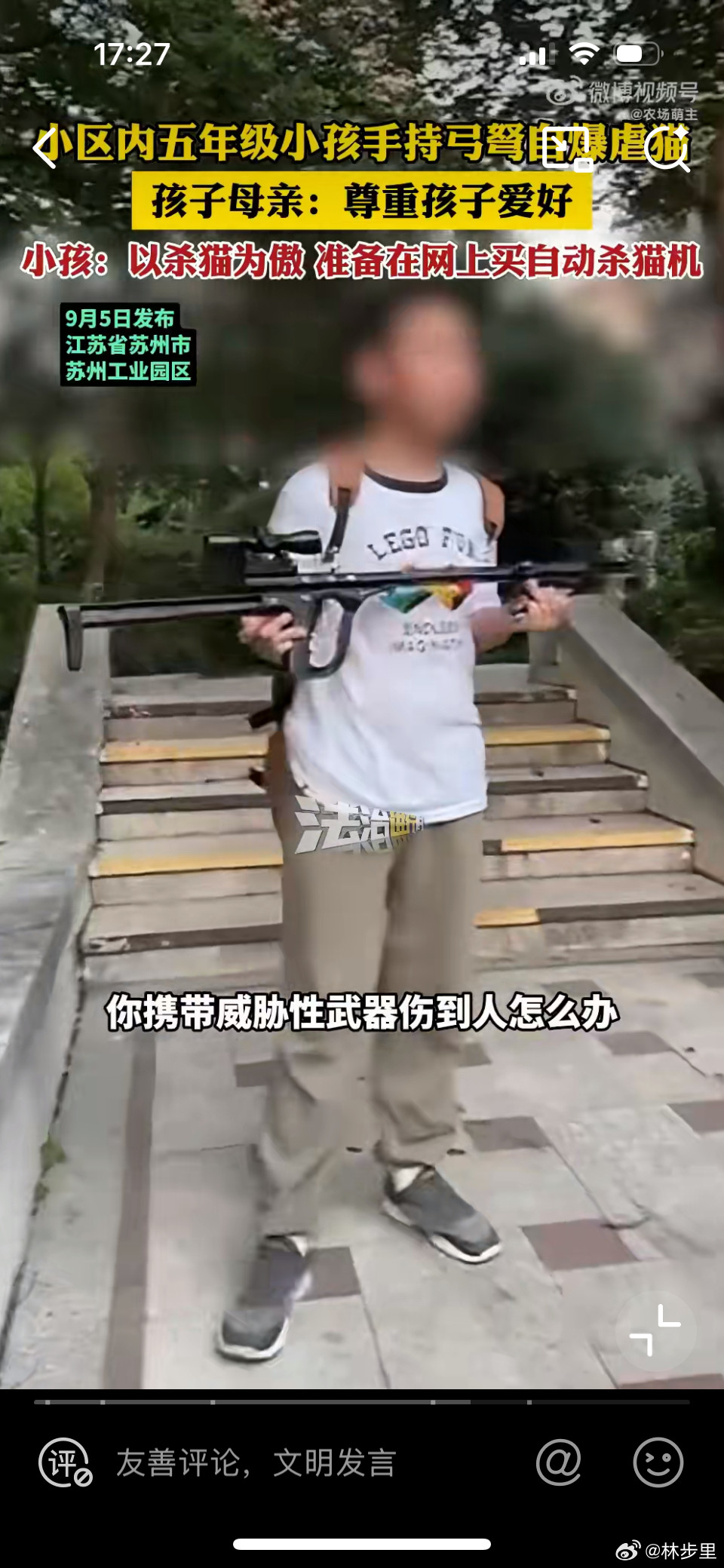 小学生自爆虐猫母亲回应回头班上的同学把这虐猫小孩孤立了。妈妈不教，同学教，社会教