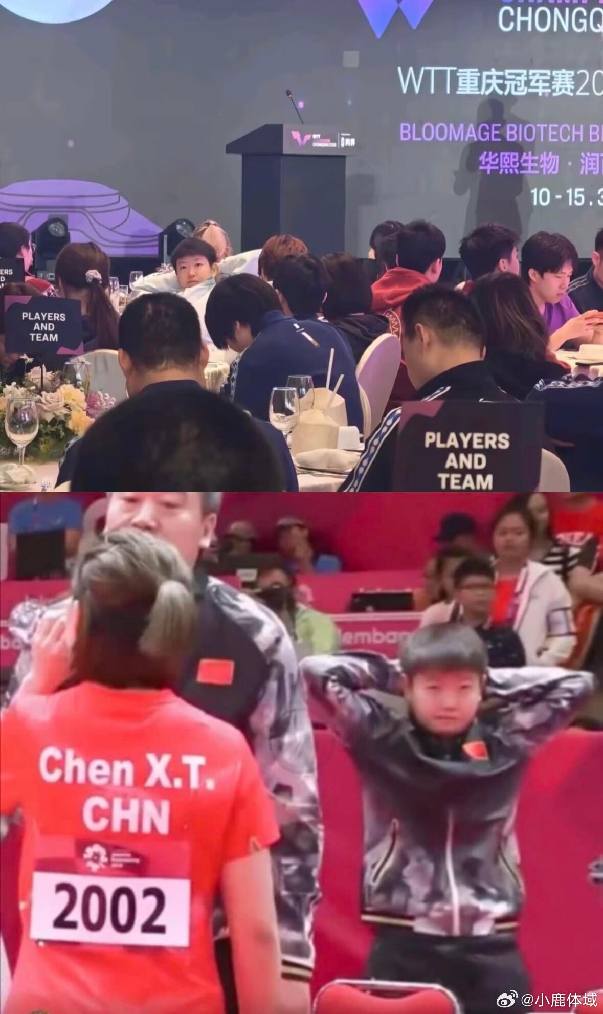 孙颖莎好chill我孩儿打小就这样松弛随地大小睡