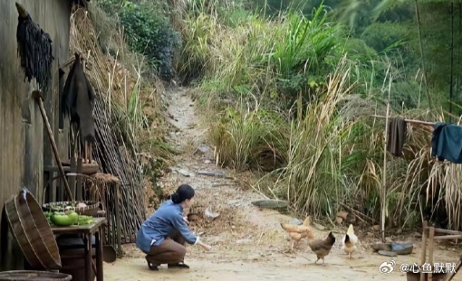 刘亦菲演的农村妇女在喂鸡，总感觉哪里不太对。​​​