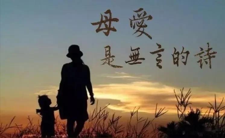 妈妈拿退休工资给儿子买灵活性养老保险？陈姐今年62岁了，四川自贡市人。年轻的时