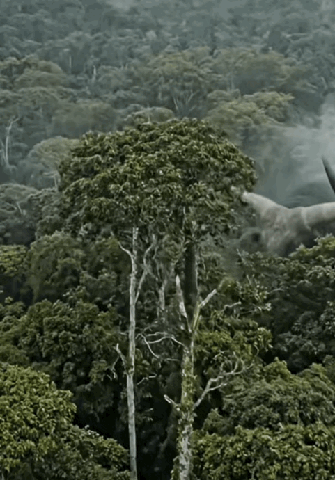 地球上这种物种恐怕绝种了吧