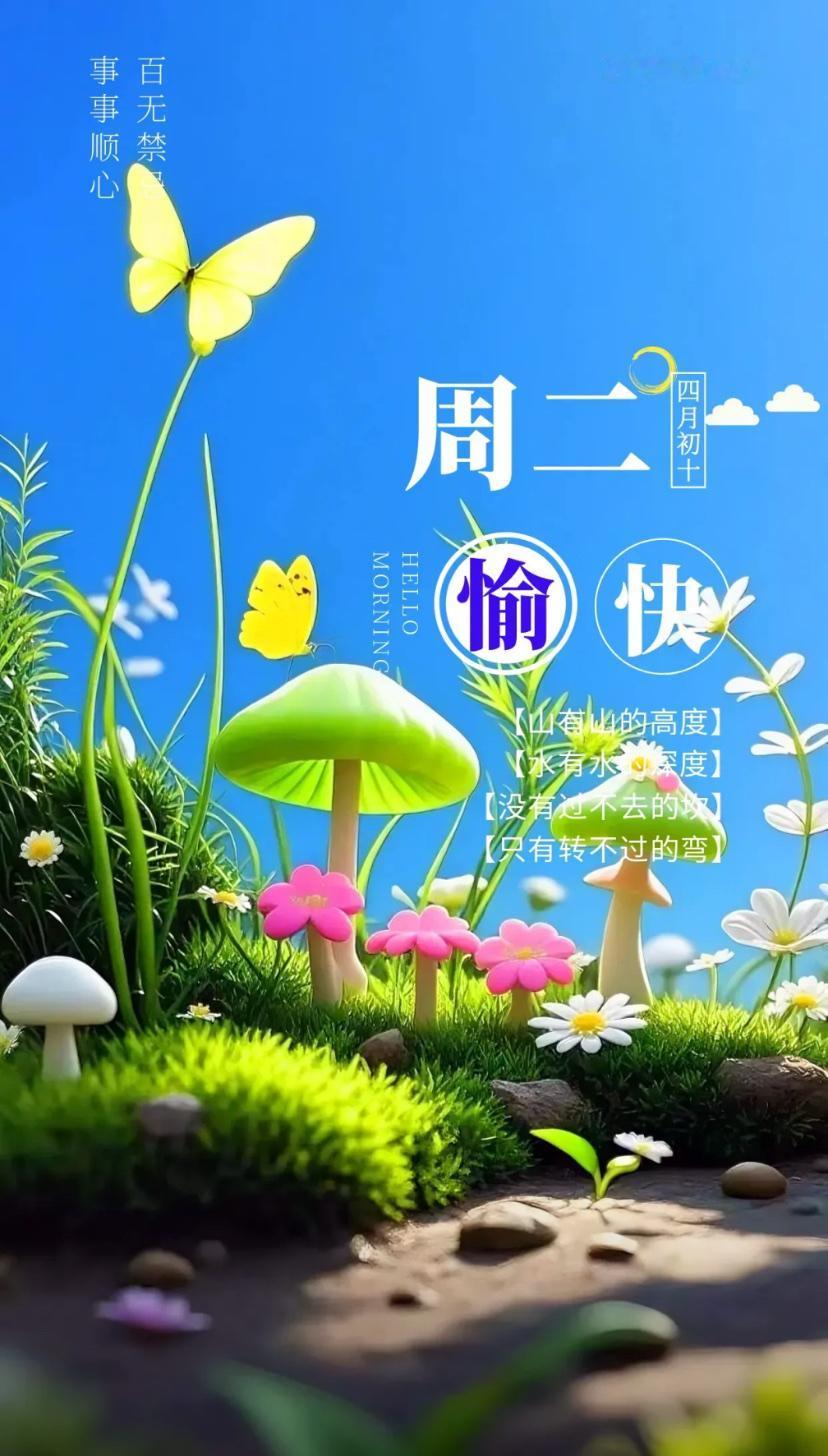 夏晨问安，晨光照拂心间暖，朝朝寄语送安康。2026./5.26.[玫