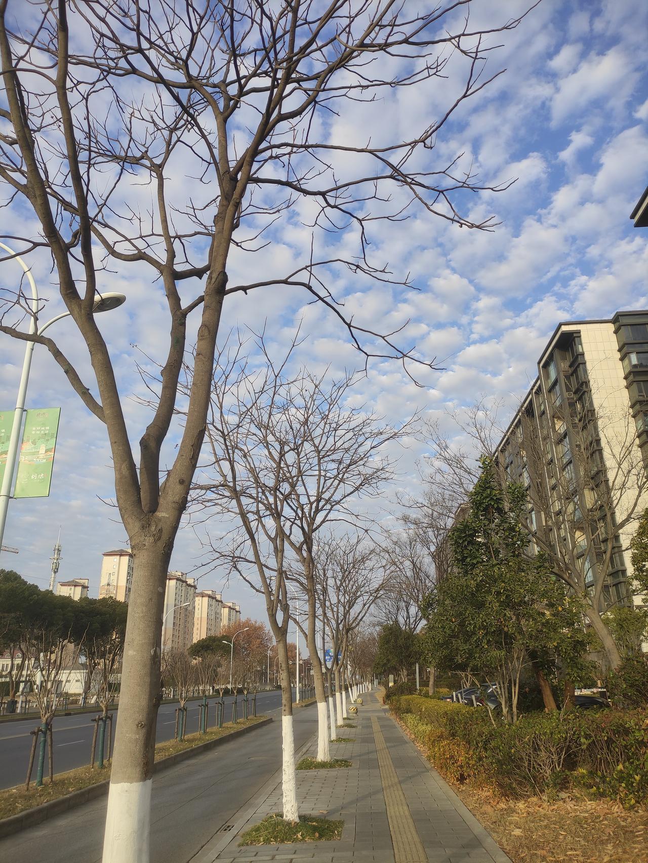 紫微斗数怎么找到自己的贵人？打开你的命般，第一要看天魁，天钺；第二看禄存落在哪