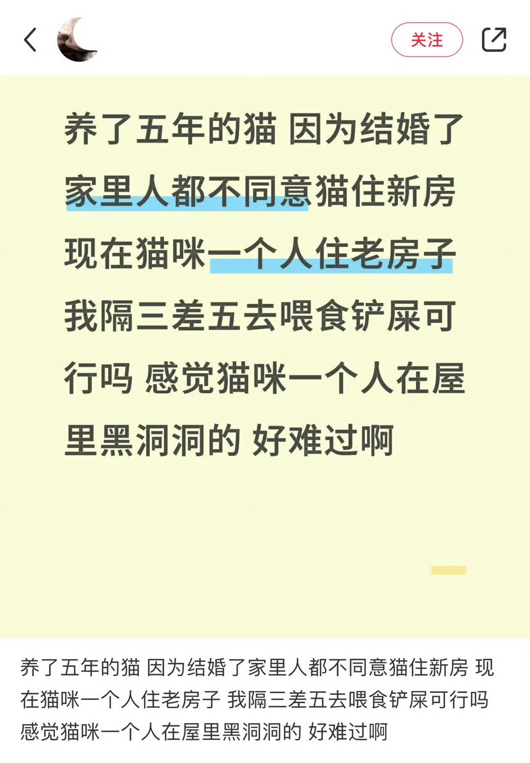 养了五年的猫因为结婚了家里人都不同意猫住新房现在猫咪一个人住老房子​​​