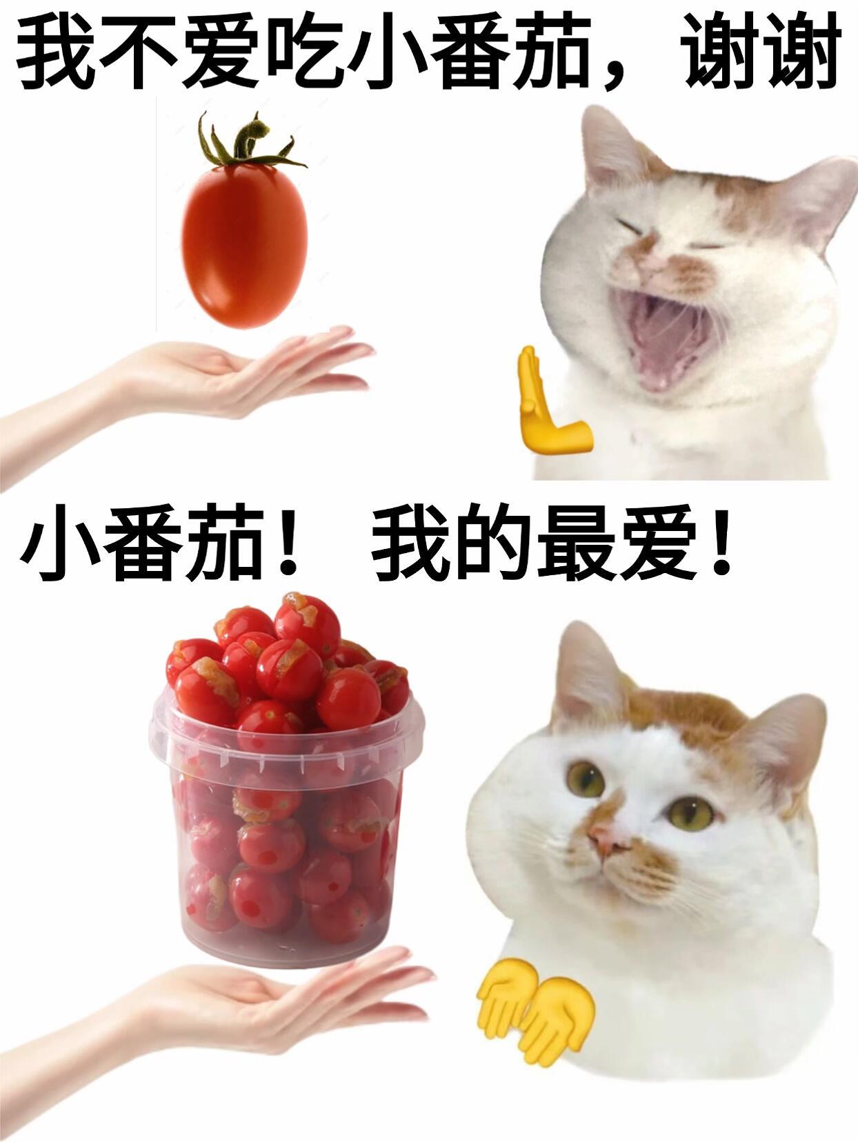 找到了一种很新的讨好型水果水果界懂事天花板！果皮好剥、无籽爆汁，吃着不脏手，酸甜