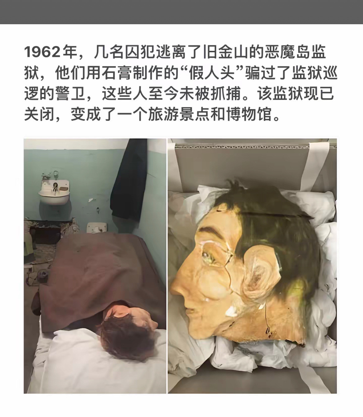 骗子用假人头逃脱警察至今没抓到你敢信吗？一个人犯了事儿，眼