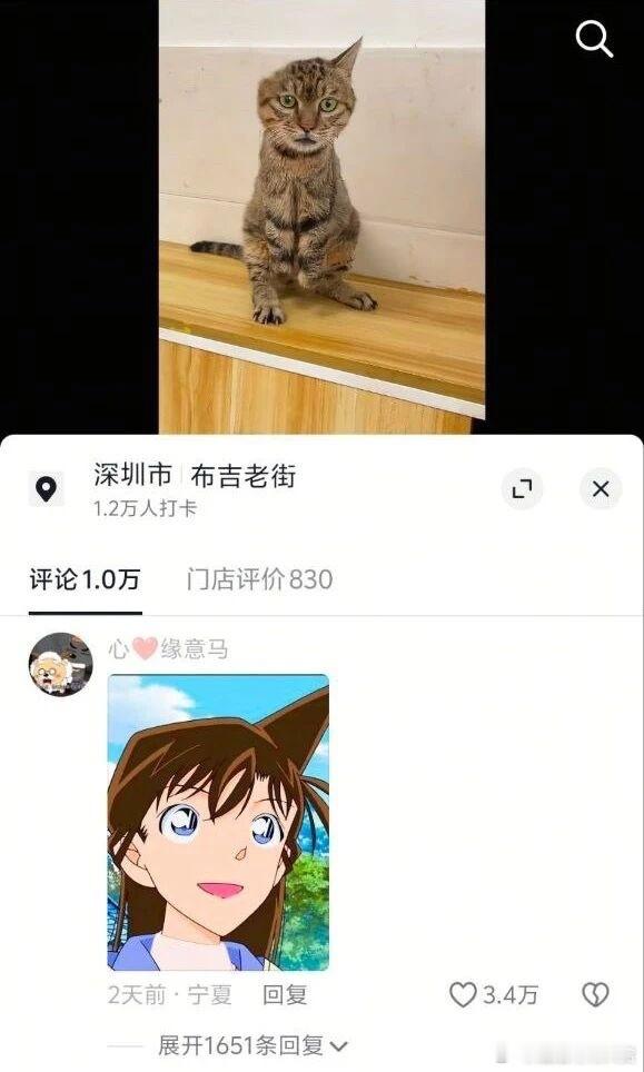 猫利兰！双厨狂喜宠物卖萌中心​​​