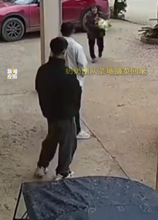 反应太可爱了！湖南邵阳，孙子第一次带着女朋友回家见家长，这80岁奶奶刚从菜地里摘