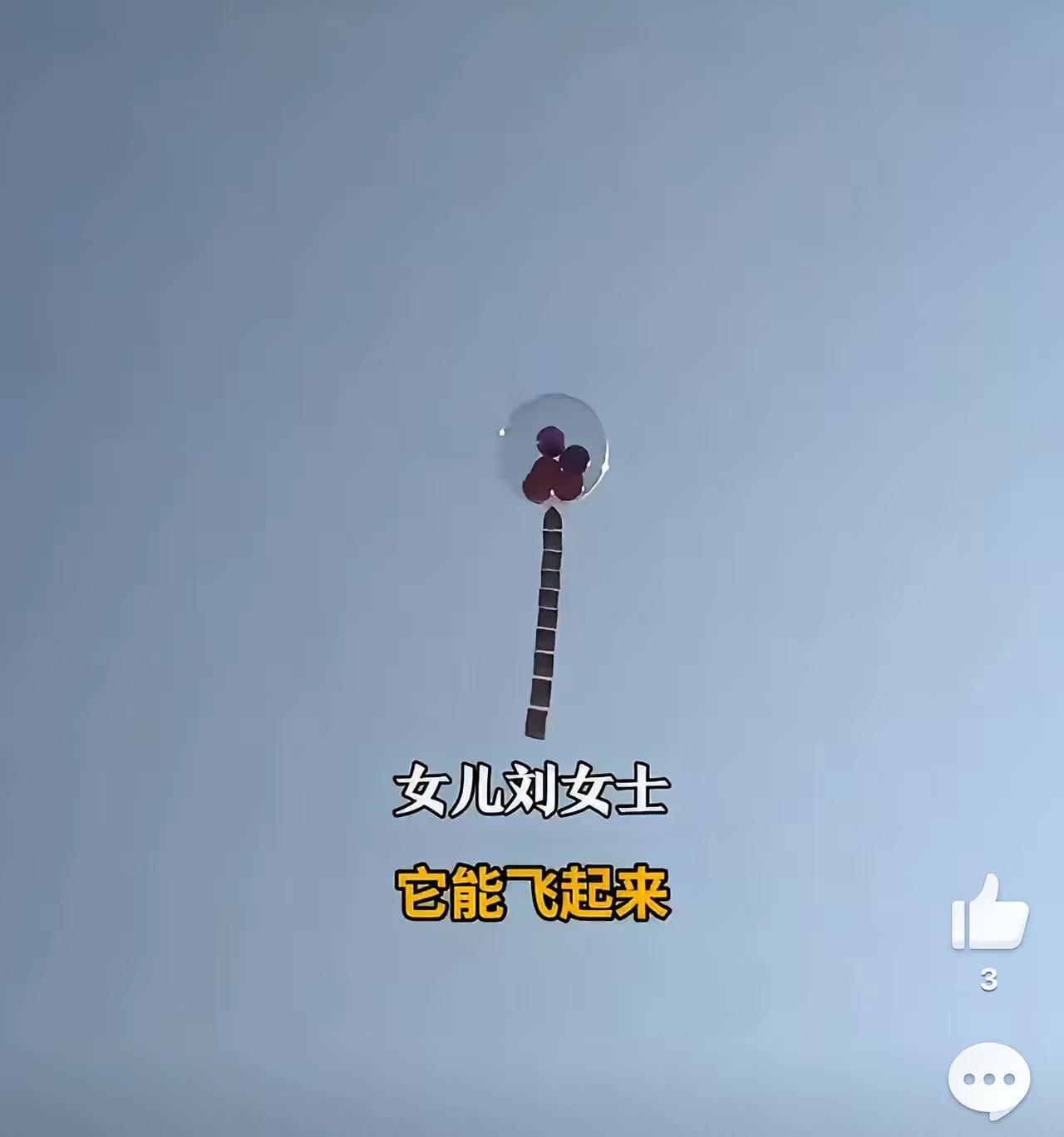 2月11日，四川泸州刘女士为给妈妈庆祝生日，为了调解气氛，特意请一个策划公司，准