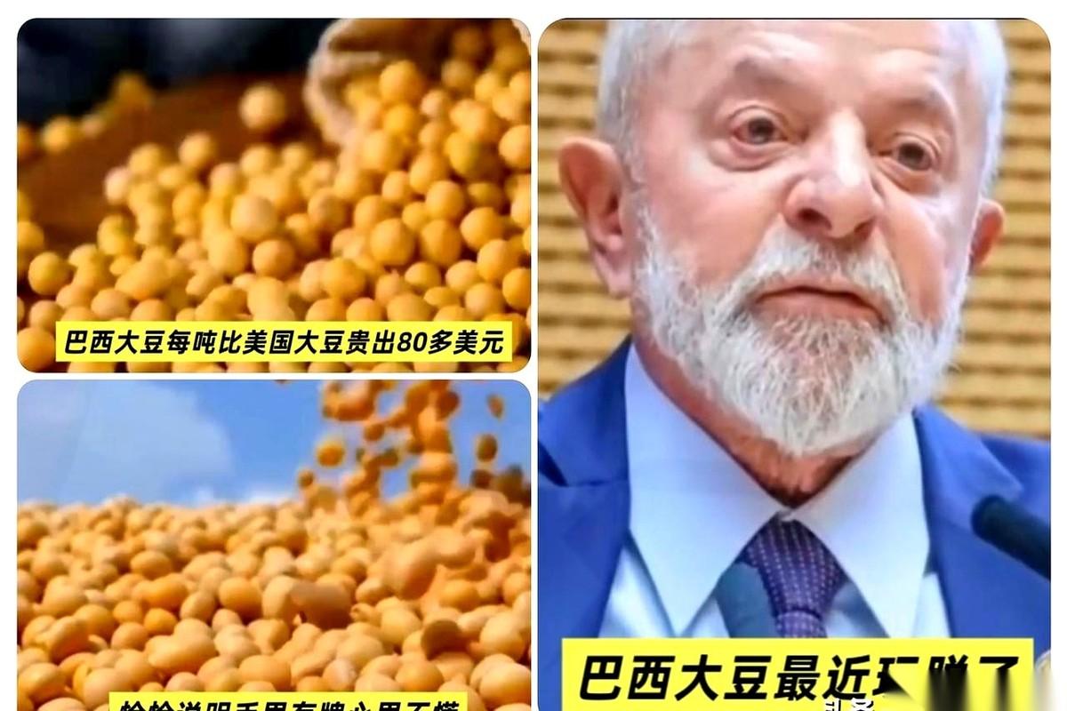 咱们就是按了个暂停键,没买新一季的大豆。结果你猜怎么着?巴西阿根廷那边,豆子