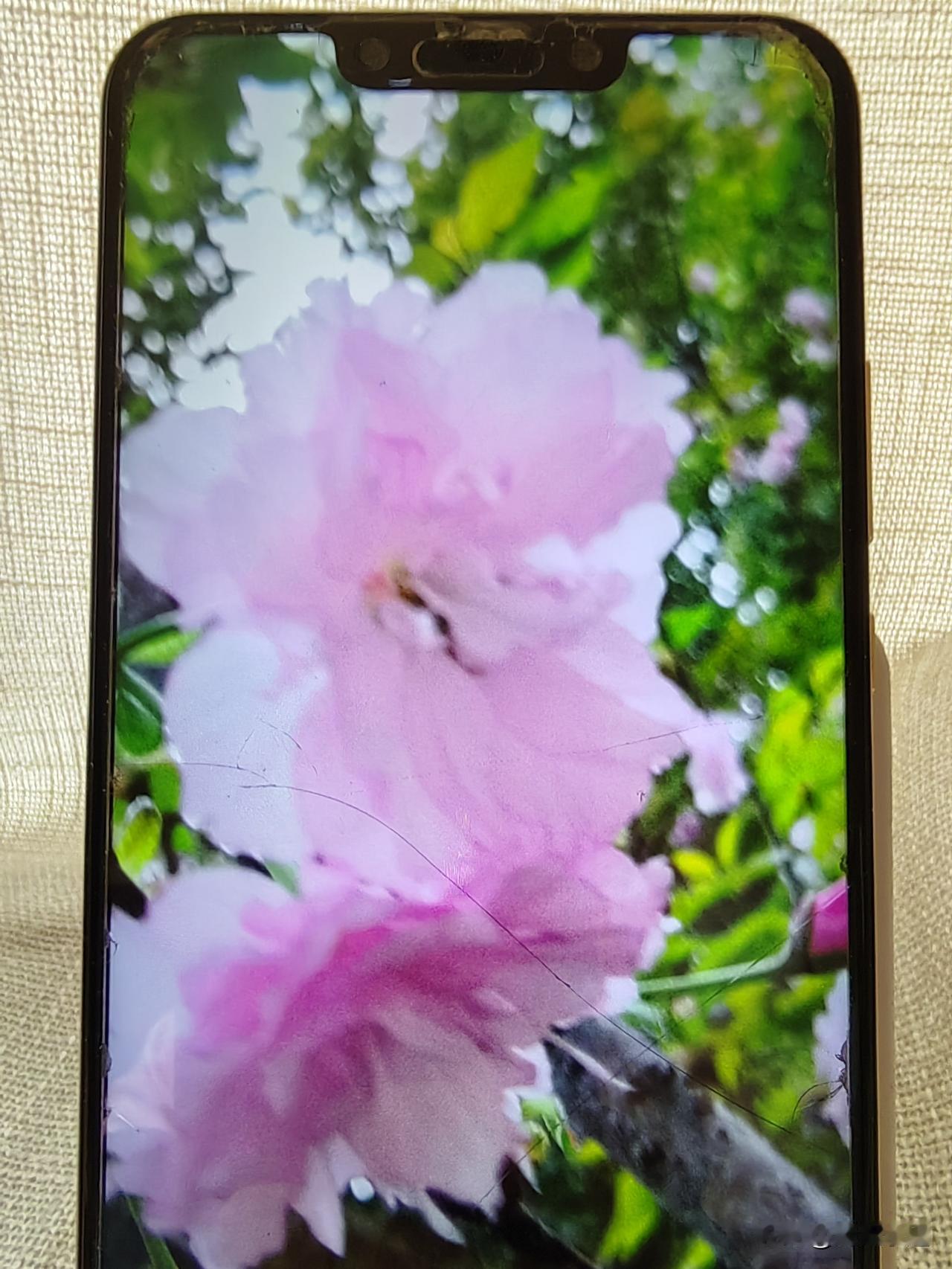 离婚，只因对方刷手机不聊天前几天，我偶遇了多年未见的同学，她说她已经离婚了。