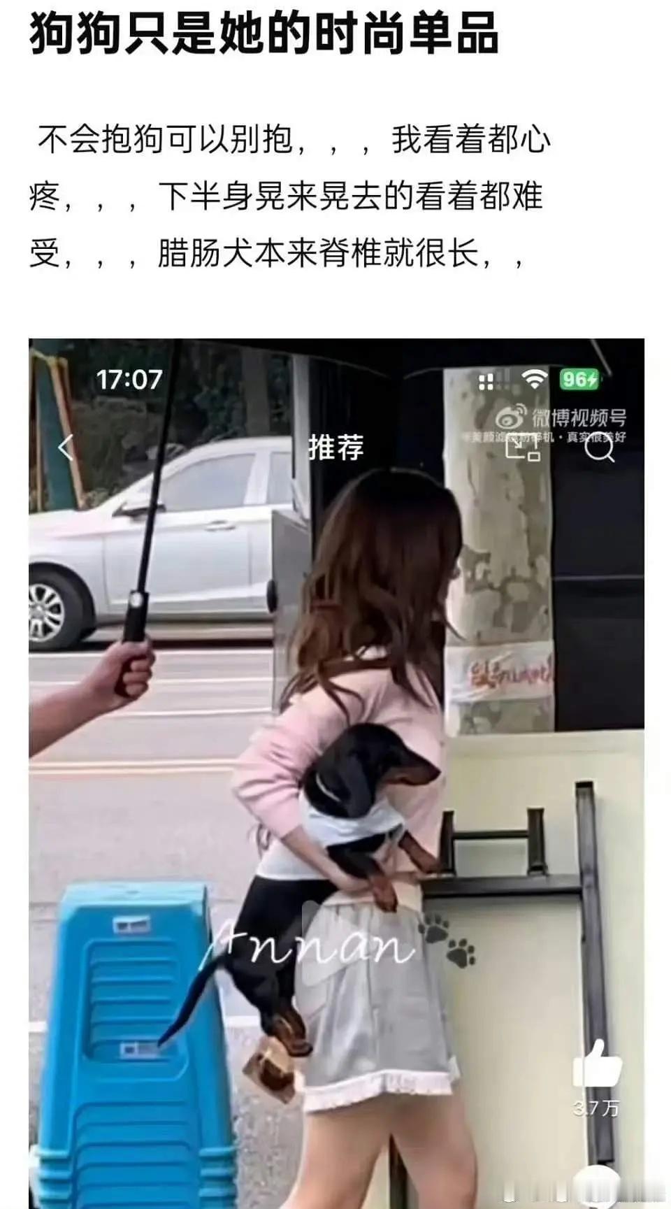 有没有懂狗的人来说说腊肠狗可以这么抱吗