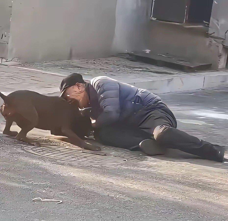 死了几条狗，被判了四年！如果狗主人给狗戴上嘴套也不至于此，具体拴没拴绳就更不好说