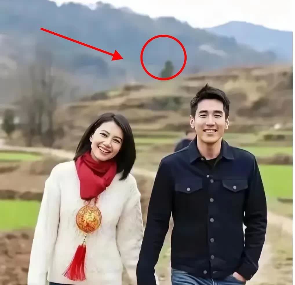 说实话，高圆圆真是那种让人看着最舒服的女明星，不像其他女明星能用漂亮来形容，她是