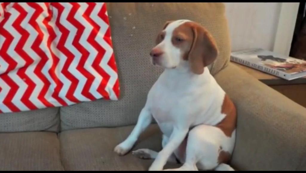 9389060117432681680.jpg?id=0