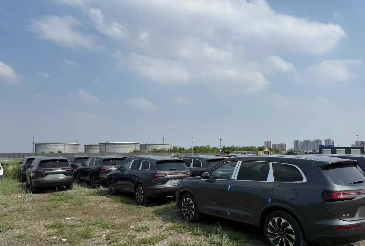 现在市面上现款问界M7挺多的，几乎各个配置都有。问界M7现在的月销量几乎只有它巅