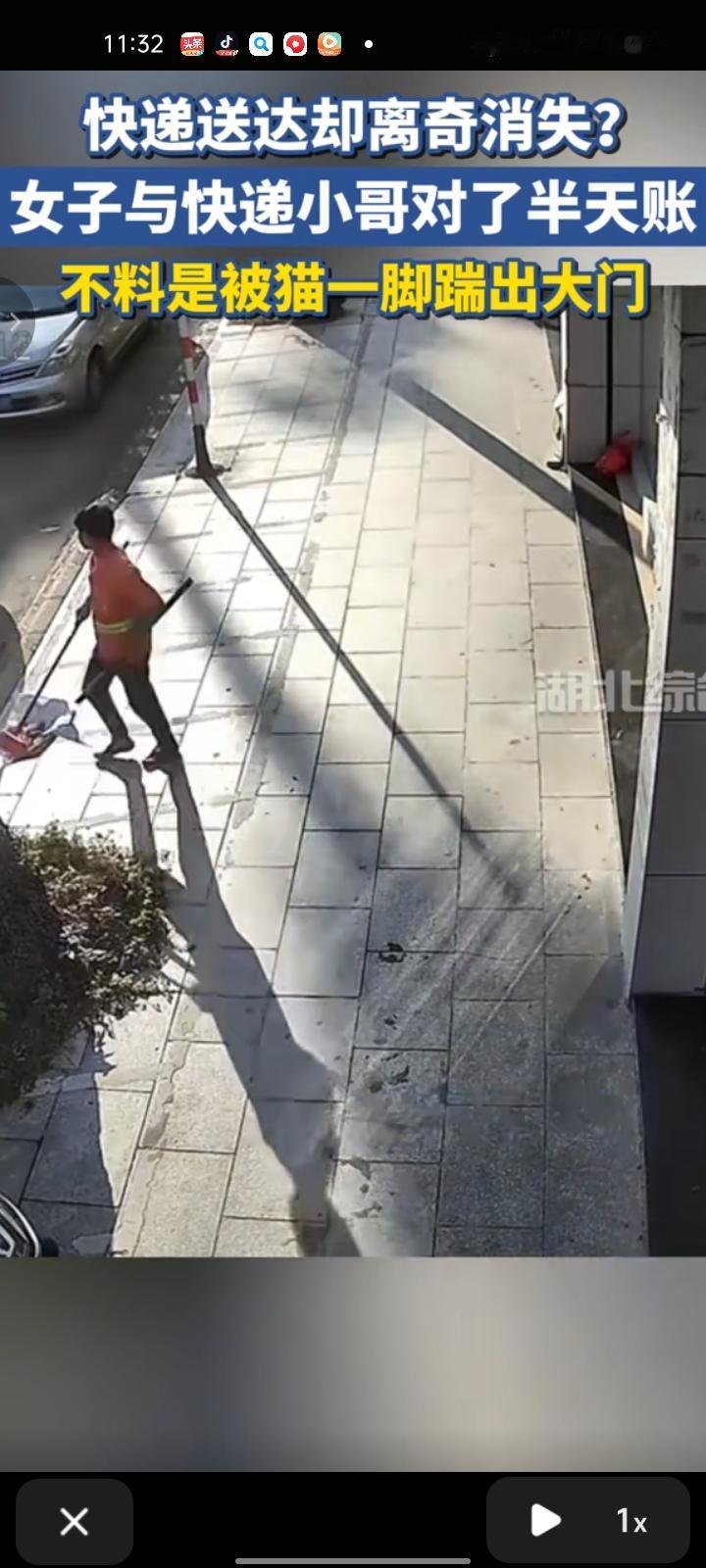 12月16日，广东佛山。女子晒视频称，快递小哥把快递放门口后，逗一下猫咪就走了，