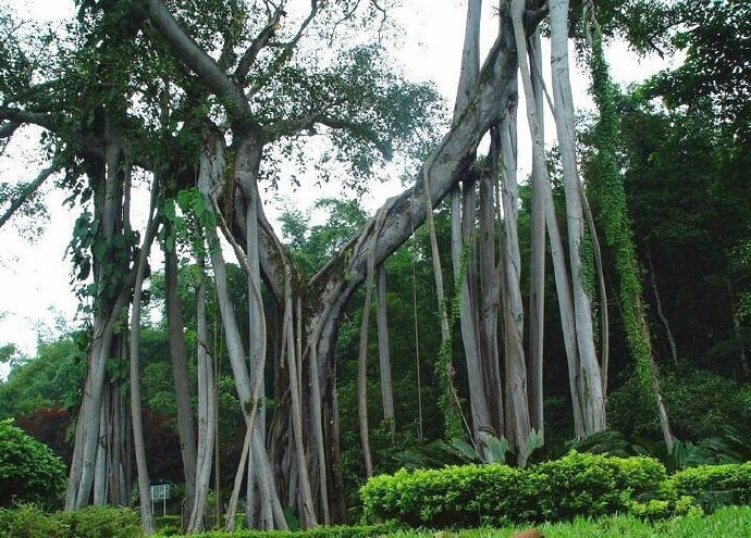 云南旅游之最|收藏1.最浪漫：丽江；2.最诗意：元阳梯田；3.最悠闲：双廊