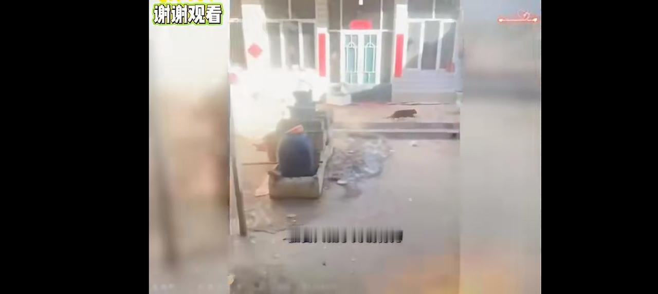 “山西狗主人被反杀案”原告律师，强调被告申某某以前是杀猪匠，意欲何为？这律师