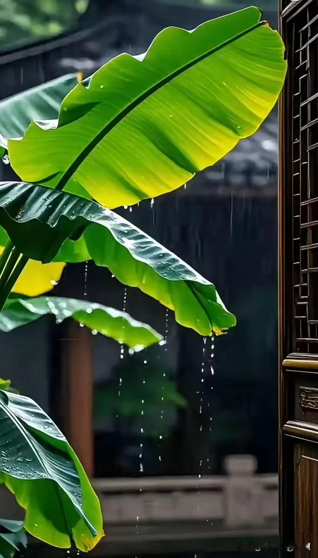 上联:清风杨柳桃花艳下联:细雨芭蕉燕语喧横批:生机盎然