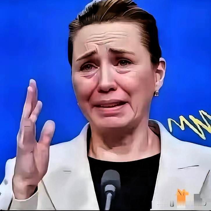 丹麦政府痛恨中国丹麦的外交大臣拉斯穆森：过去不允许中国对格陵兰岛投资，现在不会