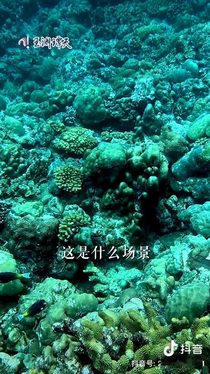 来了黄岩岛才知道古人诚不欺我。来了黄岩岛才知道古人诚不欺我，诗词里的场景具象化