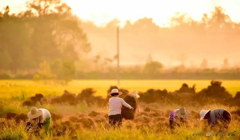 对联上联:勤奋耕耘收获满下联:辛劳探究学才丰友友请展示下联对下联对联求