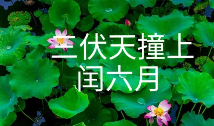 20号入伏，今年三伏天撞上闰六月，有啥说法？早看早知道最近几天大家在热议今年高