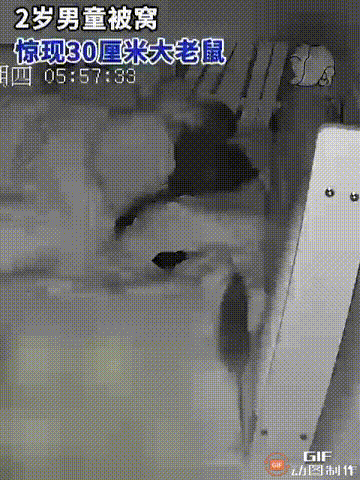 江西吉安一名女子带着2岁的儿子回娘家，由于房子在一楼，并且房间已经好几个月没住人