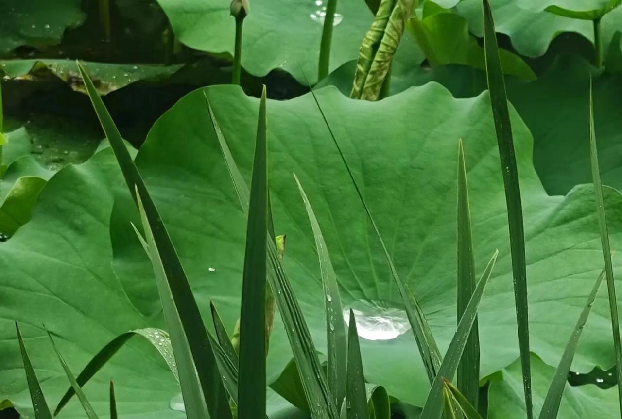 在单位里，被边缘化，其实是一件幸事，要感谢领导不重用之恩。边缘化后，或