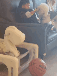 云南昆明的一位母亲拍下自己儿子和宠物狗儿子共享零食的画面，并上传至社交平台，不料