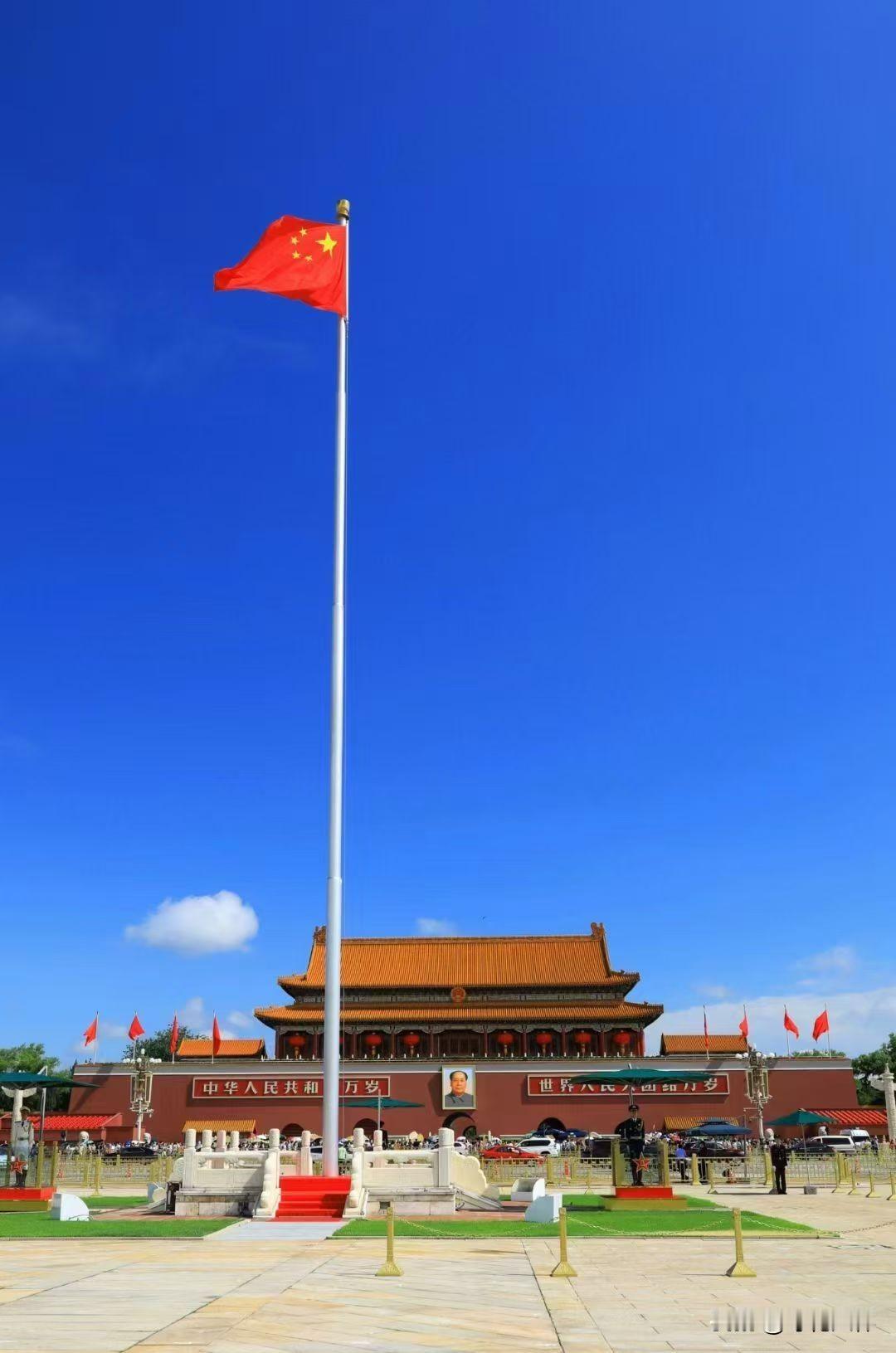 你会说什么