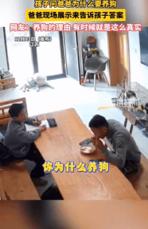 “扎心了！”江苏，儿子写作业时，突然问爸爸为什么要养狗？爸爸头都没抬，笑着回：你