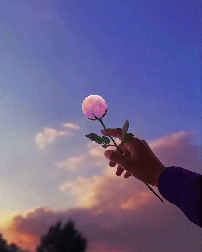 送你一朵月亮🌷​​​