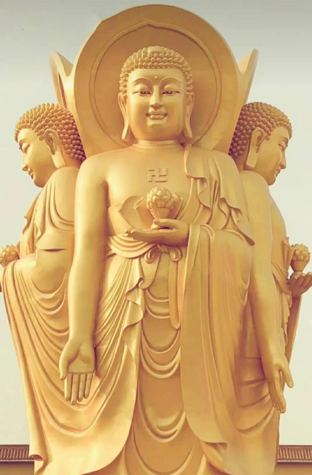 真正强大的人，不会反复责怪过去的自己，而是有承担每个选择后果的勇气。在自己认定的