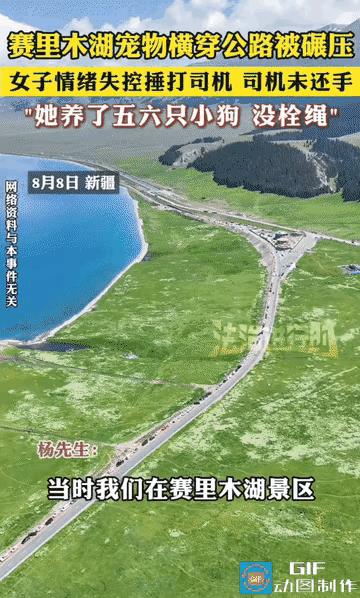 新疆，小车正常行驶，几只没栓绳的宠物狗突然横穿马路，司机紧急刹车，还是压死一只，